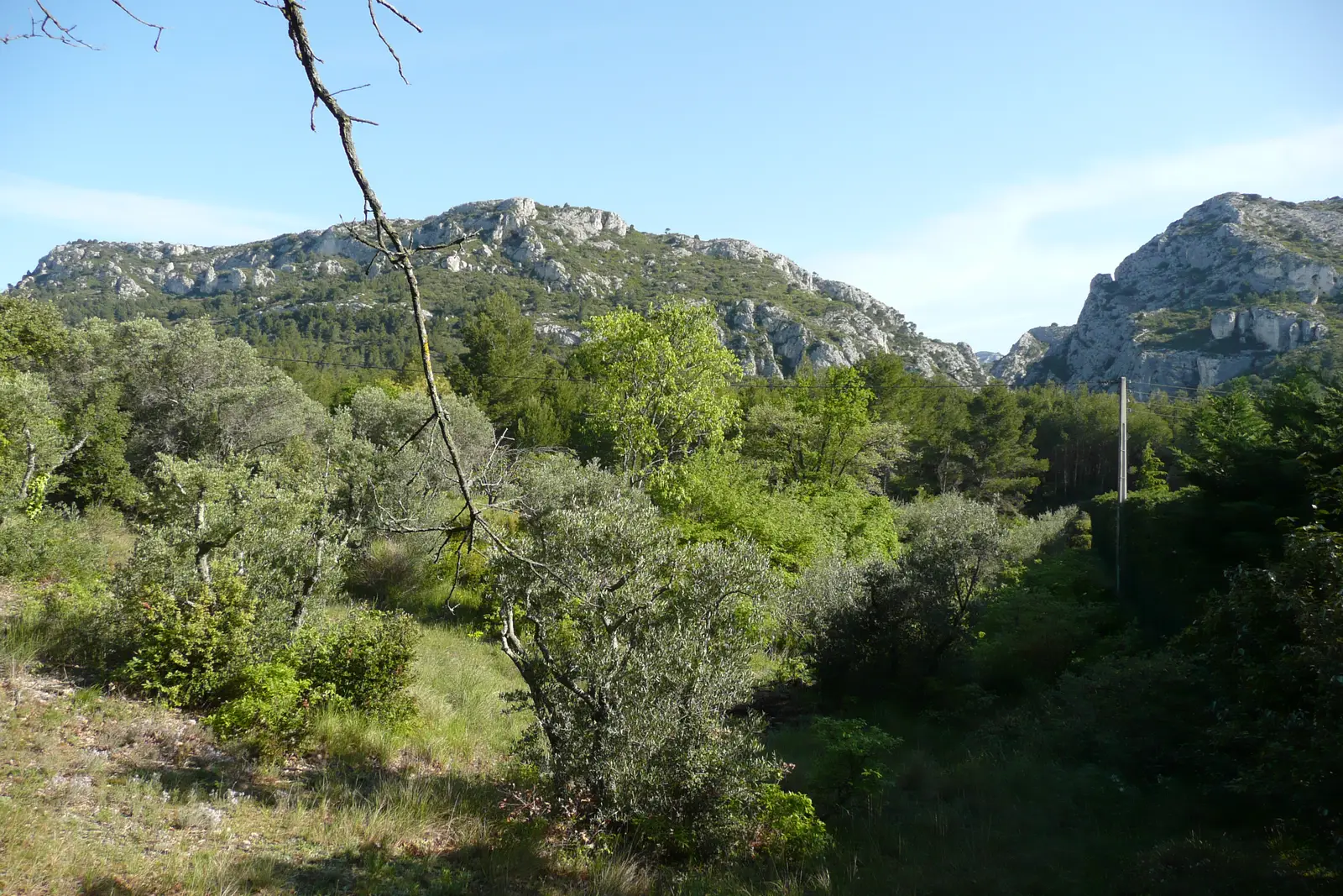 L'entrée des gorges de Régalon, entre calcaire et chênes verts, à Mérindol
